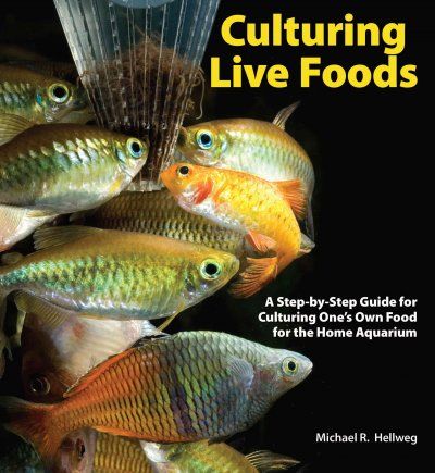 Culturing Live Foodsculturing 