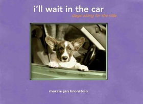 I'll Wait in the Carwait 