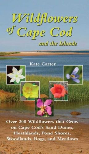 Wildflowers of Cape Cod and the Islandswildflowers 