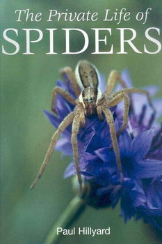 The Private Life of Spidersprivate 