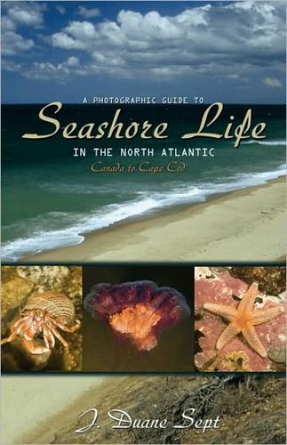 A Photographic Guide to Seashore Life in the North Atlanticphotographic 