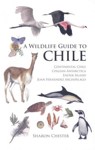 A Wildlife Guide to Chilewildlife 