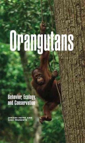 Orangutansorangutans 
