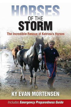 Horses of the Stormhorses 