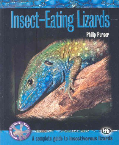 Insect-Eating Lizardsinsect 