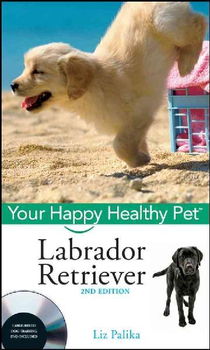 Labrador Retrieverlabrador 