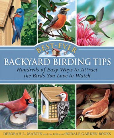 Best-Ever Backyard Birding Tipsbackyard 