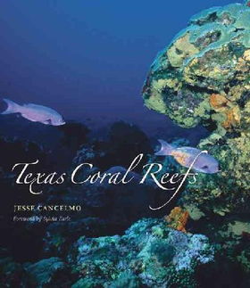 Texas Coral Reefstexas 