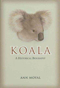 Koalakoala 