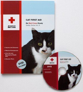 Cat First Aidcat 
