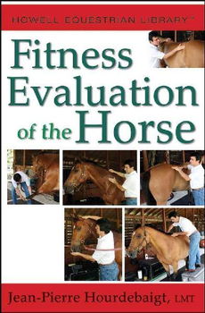 Fitness Evaluation of the Horsefitness 