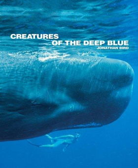 Creatures of the Deep Bluecreatures 