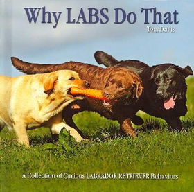 Why Labs Do Thatlabs 
