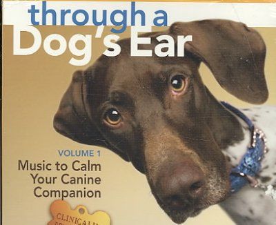 Through a Dog's Earthrough 