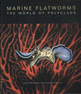 Marine Flatwormsmarine 