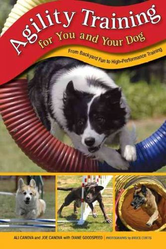 Agility Training for You and Your Dogagility 