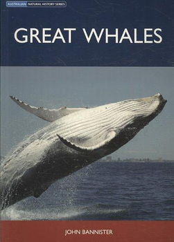 Great Whaleswhales 