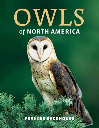 Owls of North Americaowls 