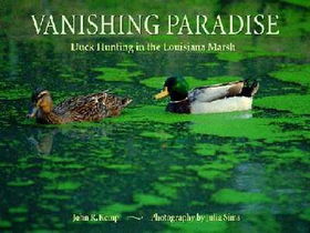 Vanishing Paradisevanishing 
