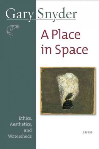 A Place in Spaceplace 