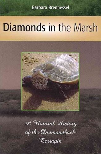 Diamonds in the Marshdiamonds 