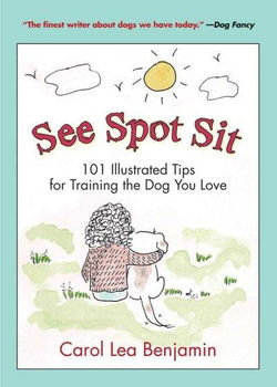See Spot Sitspot 