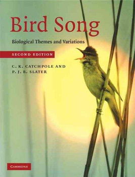 Bird Songbird 