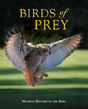 Birds of Preybirds 