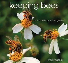 Keeping Beeskeeping 