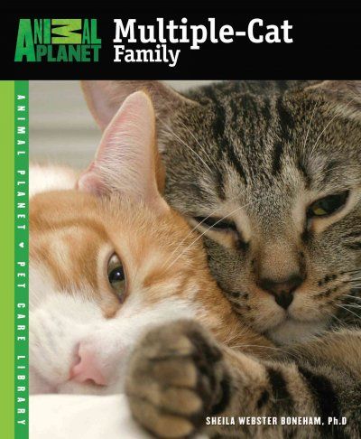 The Multiple-Cat Familymultiple 