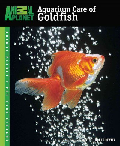 Aquarium Care of Goldfishaquarium 