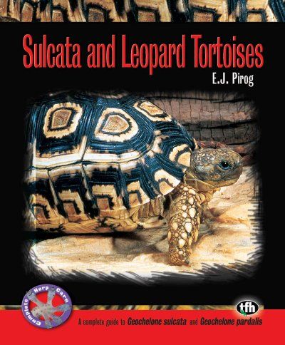 Sulcata and Leopard Tortoisessulcata 