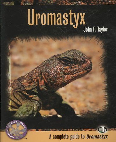 Uromastyxuromastyx 