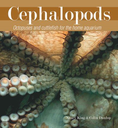 Cephalopodscephalopods 