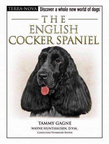 The English Cocker Spanielenglish 