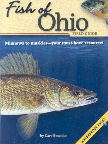Fish of Ohio Field Guidefish 