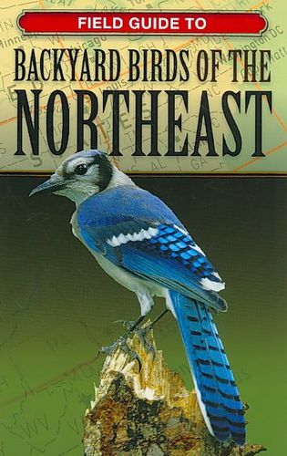 Field Guide to Backyard Birds of the Northeastfield 