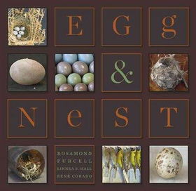 Egg & Nestegg 