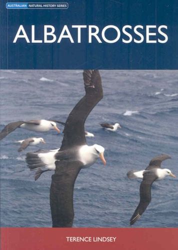 Albatrossesalbatrosses 