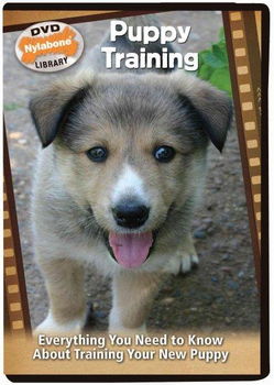 Puppy Trainingpuppy 