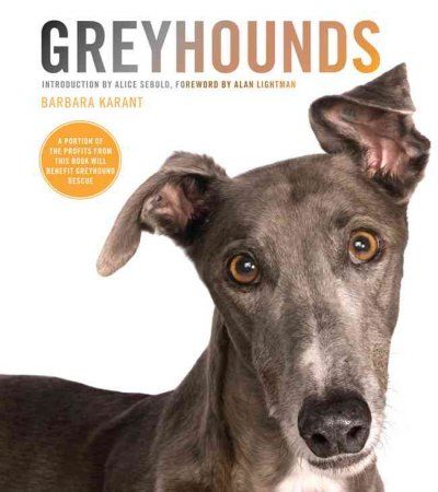 Greyhoundsgreyhounds 