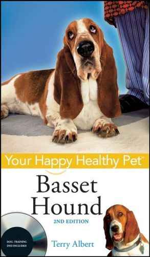 Basset Houndbasset 