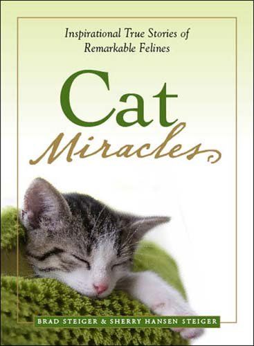 Cat Miraclescat 