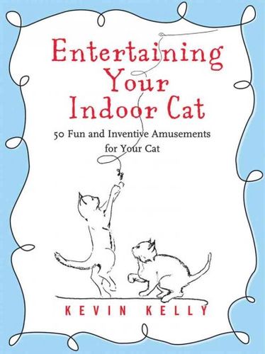 Entertaining Your Indoor Catentertaining 