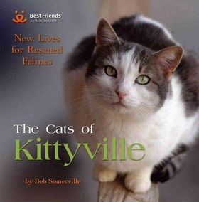 The Cats of Kittyvillecats 