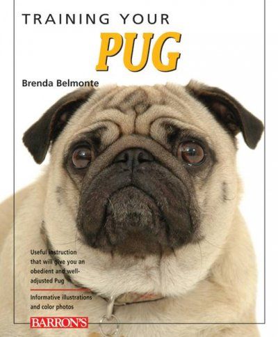 Training Your Pugtraining 