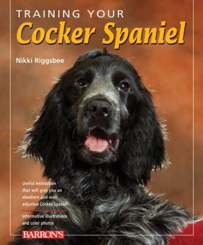 Training Your Cocker Spanieltraining 