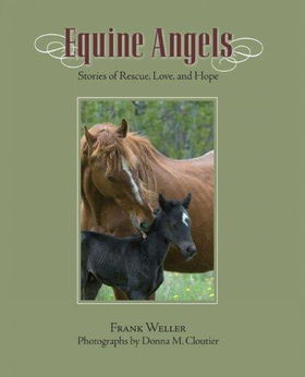 Equine Angelsequine 