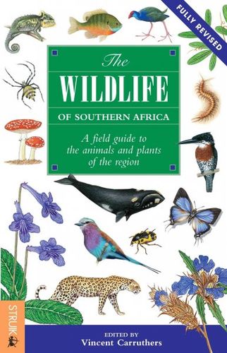 The Wildlife of Southern Africawildlife 