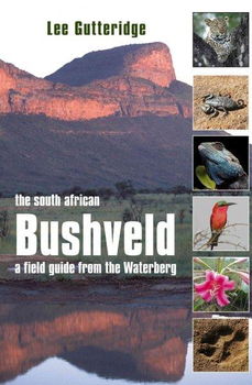 The South African Bushveldsouth 